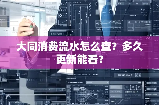 大同消费流水怎么查？多久更新能看？