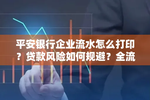平安银行企业流水怎么打印？贷款风险如何规避？全流程技巧解析