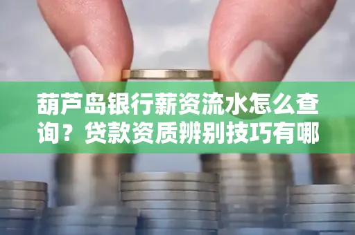 葫芦岛银行薪资流水怎么查询？贷款资质辨别技巧有哪些？
