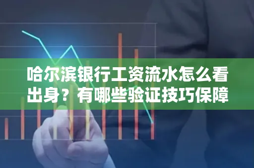 哈尔滨银行工资流水怎么看出身？有哪些验证技巧保障贷款过关？