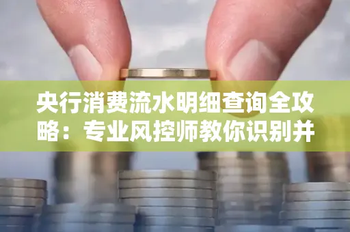 央行消费流水明细查询全攻略：专业风控师教你识别并规避用卡风险！